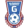 WŁÓKNIARZ GŁUSZYCA